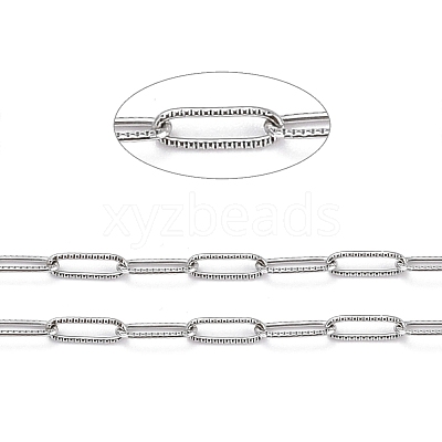 Tarnish Resistant 304 Stainless Steel Paperclip Chains CHS-D033-06P-02-1