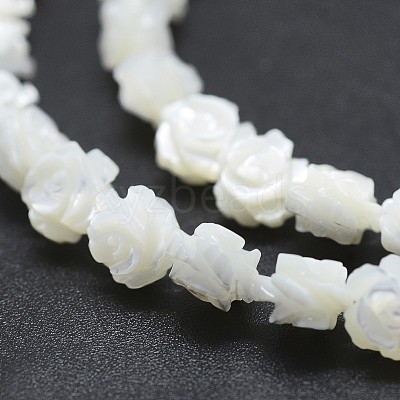 Natural White Shell Beads Strands SSHEL-P015-01A-10mm-1