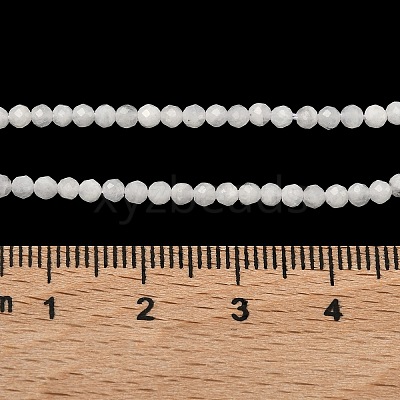 Natural Rainbow Moonstone Beads Strands G-B168-A11-2mm-1