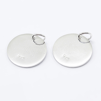925 Sterling Silver Pendants STER-K167-006D-S-1