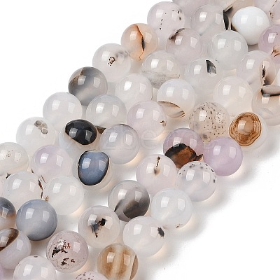 Natural Dendritic Agate Beads Strands G-A248-A07-04-1