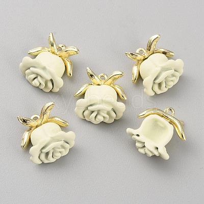 Spray Painted Alloy Charms FIND-TAC0017-35D-1