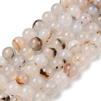 Natural Dendritic Agate Beads Strands G-A248-A07-02-1