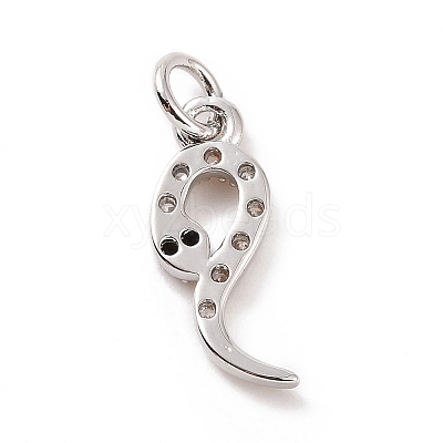 Brass Micro Pave Cubic Zirconia Charms KK-C012-09P-1