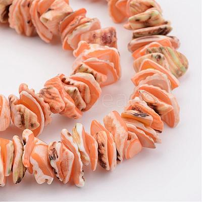 Natural Shell Bead Strands BSHE-P010-09-1