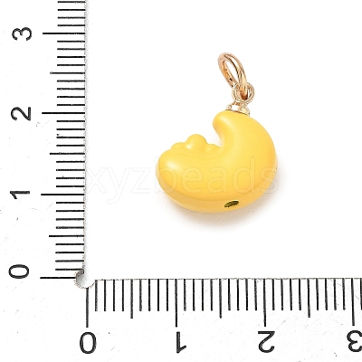 Alloy Enamel Pendants LS-AL-CBA68FA-01A-G-1