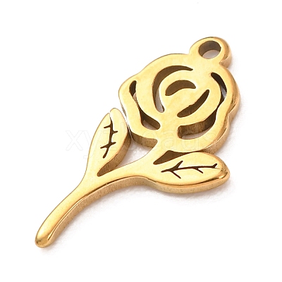 304 Stainless Steel Pendants STAS-Z204-01G-03-1