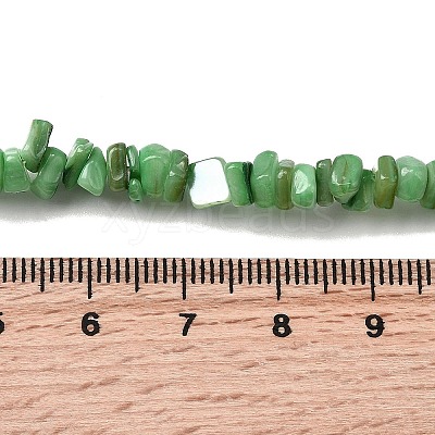 Natural Freshwater Shell Beads SHEL-B003-01E-1