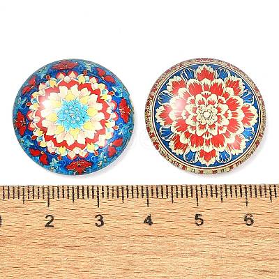 12Pcs Glass Cabochons X1-GGLA-S059-05-1