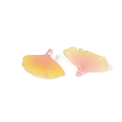 Heat Shrink Acrylic Pendants OACR-N164-09-1