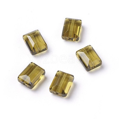 K9 Glass SWAR-F060-8x6mm-19-1