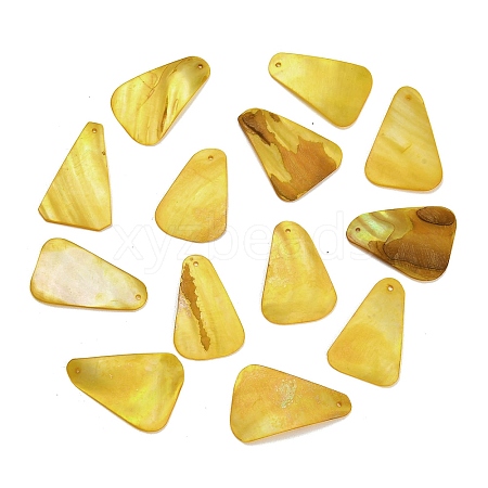 Dyed Natural Shell Pendants SHEL-C010-13D-1