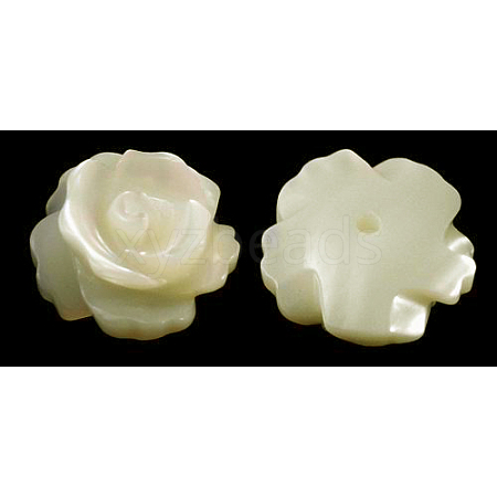 Half Drilled Natural White Shell Rose Flower Flatback Beads X-SH159-1