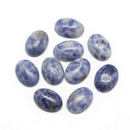 Natural Blue Spot Jasper Cabochons X-G-R415-13x18-45-1