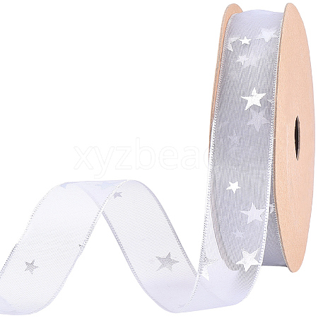 Polyester Ribbons SRIB-WH20020-035C-1