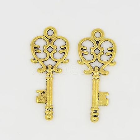 Tibetan Style Alloy Pendants GLF11137Y-NF-1
