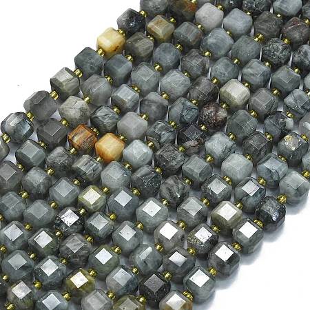 Natural Eagle Eye Stone Beads Strands G-K389-A02-01-1