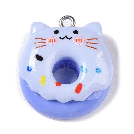 Opaque Resin Imitation Food Pendants RESI-S403-01E-1