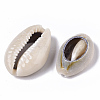 Natural Cowrie Shell Beads X-SSHEL-N034-33-3