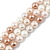 Shell Pearl Beads Strands BSHE-XCP0001-19-1