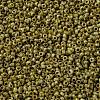 MIYUKI Round Rocailles Beads X-SEED-G009-RR4512-3