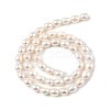 Natural Cultured Freshwater Pearl Beads Strands PEAR-I007-01D-02A-3