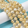 Natural Trochus Shell Beads Strands BSHE-P033-03A-2