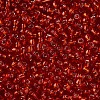 8/0 Glass Seed Beads X2-SEED-A005-3mm-25-2