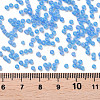 12/0 Grade A Round Glass Seed Beads X-SEED-Q010-M545-3