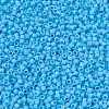MIYUKI Delica Beads SEED-MY11-DB0879-3