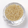 12/0 Grade A Round Glass Seed Beads SEED-Q007-F33-2