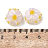 Handmade Lampwork Enamel Beads LS-LAMP-Z020-05C-3