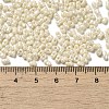 Glass Seed Beads SEED-K009-02A-08-4
