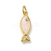 Brass Cubic Zirconia Pendants KK-M295-14G-01-1