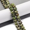 Natural Sesame Jasper Beads Strands G-K380-A20-01-2