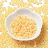 Imitation Jade Glass Seed Beads SEED-Z001-A-A13-2