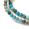 Dyed Natural Regalite/Imperial Jasper/Sea Sediment Jasper Beads Strands G-B124-C05-02-3