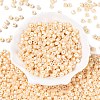 Baking Paint Pearlized Glass Seed Beads SEED-T008-03B-2