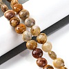 Natural Crazy Agate Beads Strands G-T047-A23-01-2