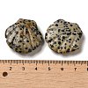 Natural Dalmatian Jasper Carved Healing Shell Figurines G-K353-03H-3