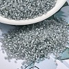 MIYUKI Delica Beads SEED-MY11-DB1770-1