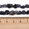 Natural Iolite/Cordierite/Dichroite Beads Strands G-A284-A02-01-5