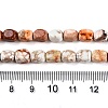 Natural Imperial Jasper Beads Strands G-N342-62K-5