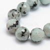 Natural Sesame Jasper/Kiwi Jasper Beads Strands X-G-L147-4mm-01-1