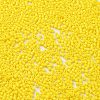 Baking Paint Glass Seed Beads SEED-S042-05B-81-3