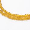 Transparent Glass Beads Strands EGLA-J144-NA05-3