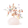 Natural Gemstone Money Tree with Natural Rose Quartz Base Display Decorations DJEW-G027-08RG-06-3