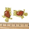 Natural Red Jasper Pendants KK-F888-02G-21-3