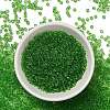 FGB 8/0 Grade A Round Glass Seed Beads SEED-Q006-3mm-F19-5
