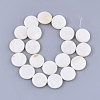 Freshwater Shell Beads Strands X-SHEL-S276-28-2